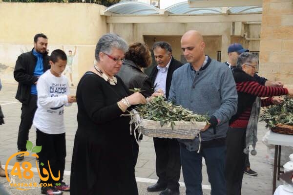 masrira latinyafa (25).JPG